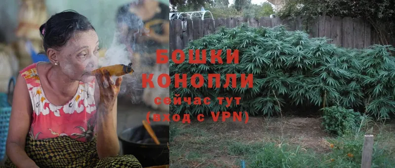 Бошки Шишки White Widow  как найти закладки  Лесосибирск 